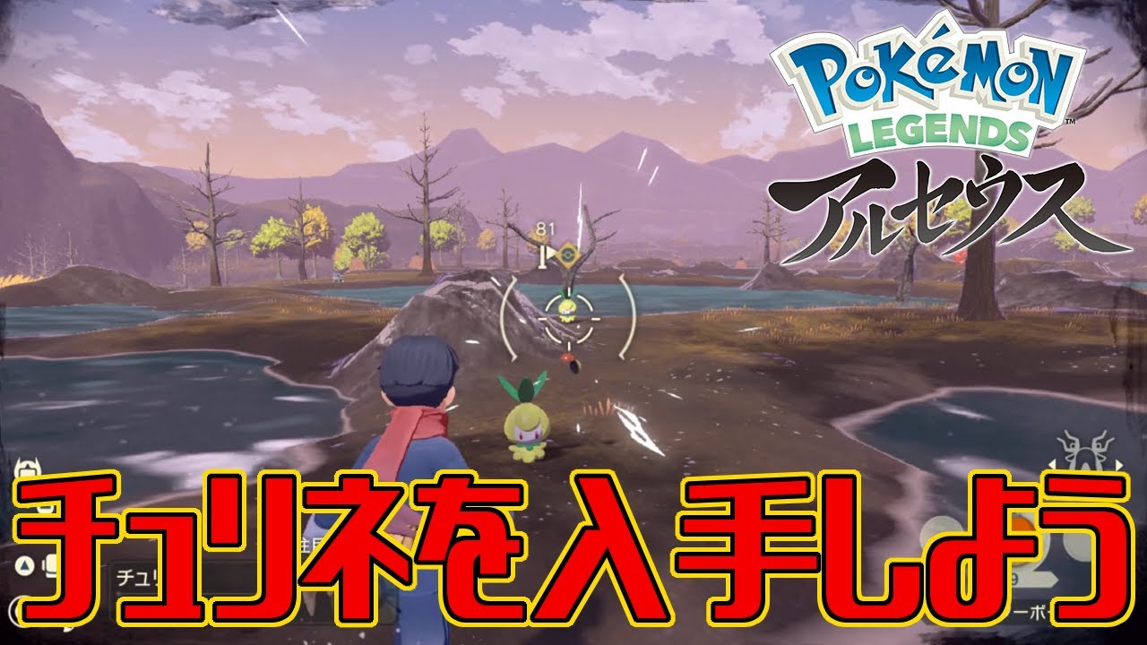 【ポケモンアルセウス】チュリネを入手しよう【Pokémon LEGENDS アルセウス】