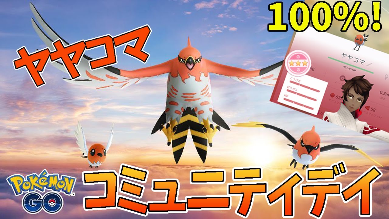 【ポケモンGO】 ヤヤコマのコミュテニィデイ！個体値100%もGETだぜ！
