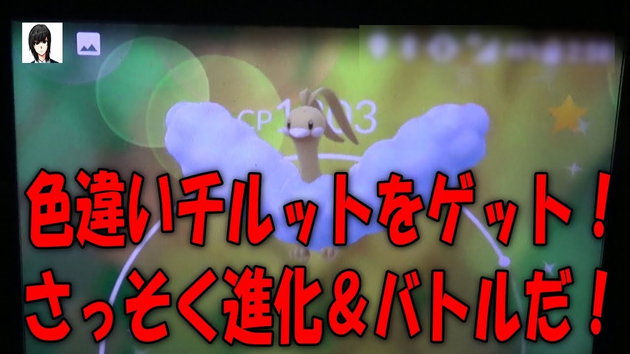 色違いチルットをゲット！さっそく進化＆バトルだ！2018年2月12日 Shiny Pokémon GO