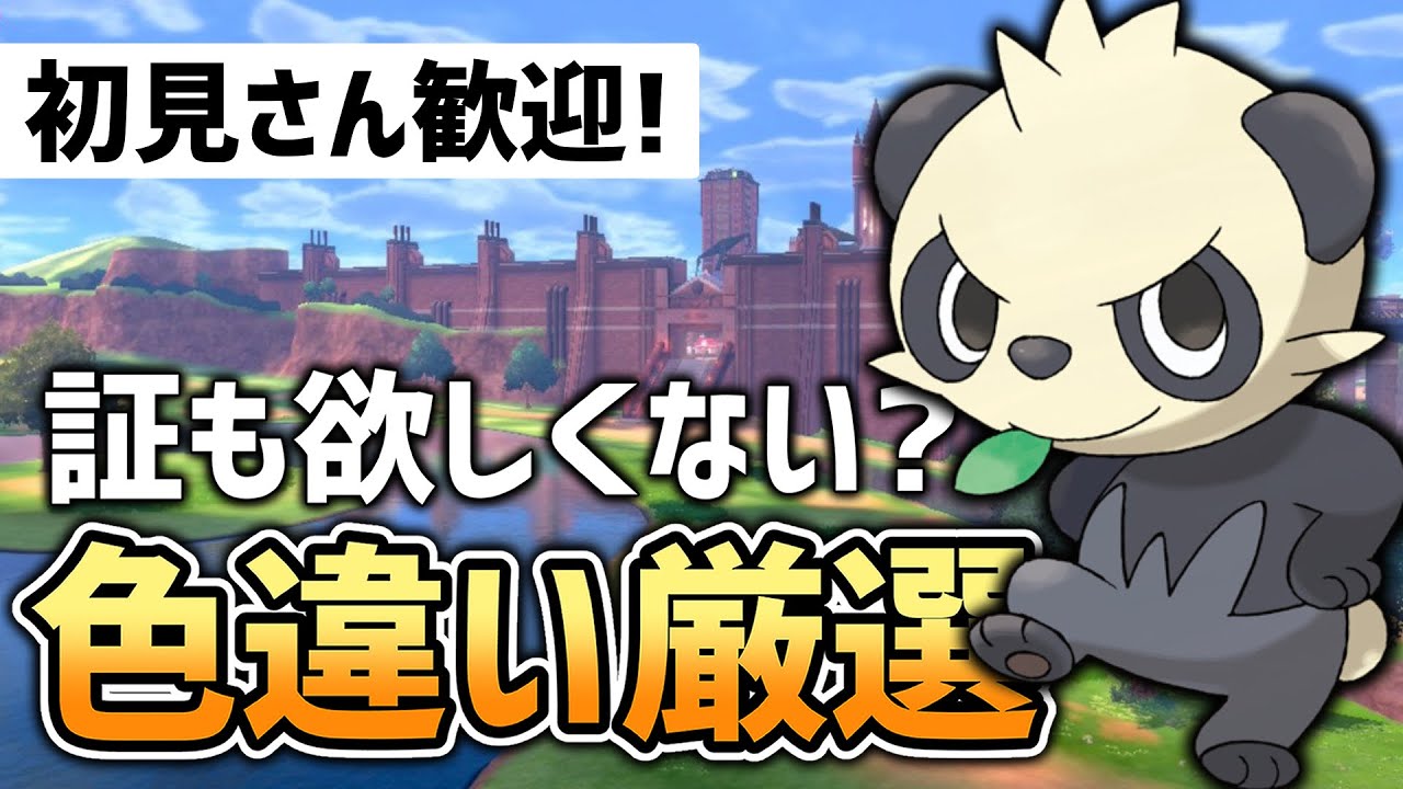 【ポケモン剣盾】ルギア→ヤンチャム色証厳選！！【初見さん歓迎!!】