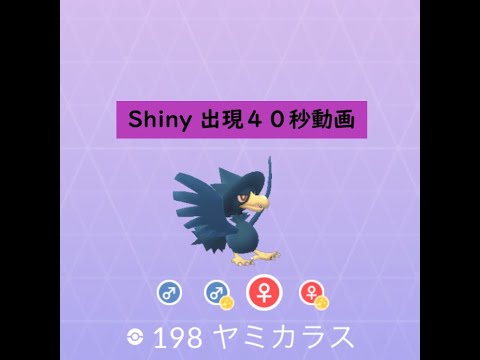 【Pokémon GO】Rarity ”C”＃198 ヤミカラス ☆shiny☆#Shorts