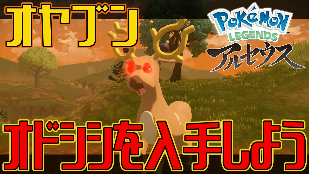 【ポケモンアルセウス】オヤブンのオドシシを入手しよう【Pokémon LEGENDS アルセウス】