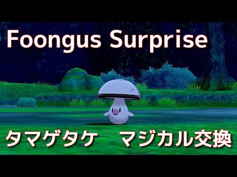 Foongus Surprise　タマゲタケマジカル交換会配信【ポケモン剣盾】