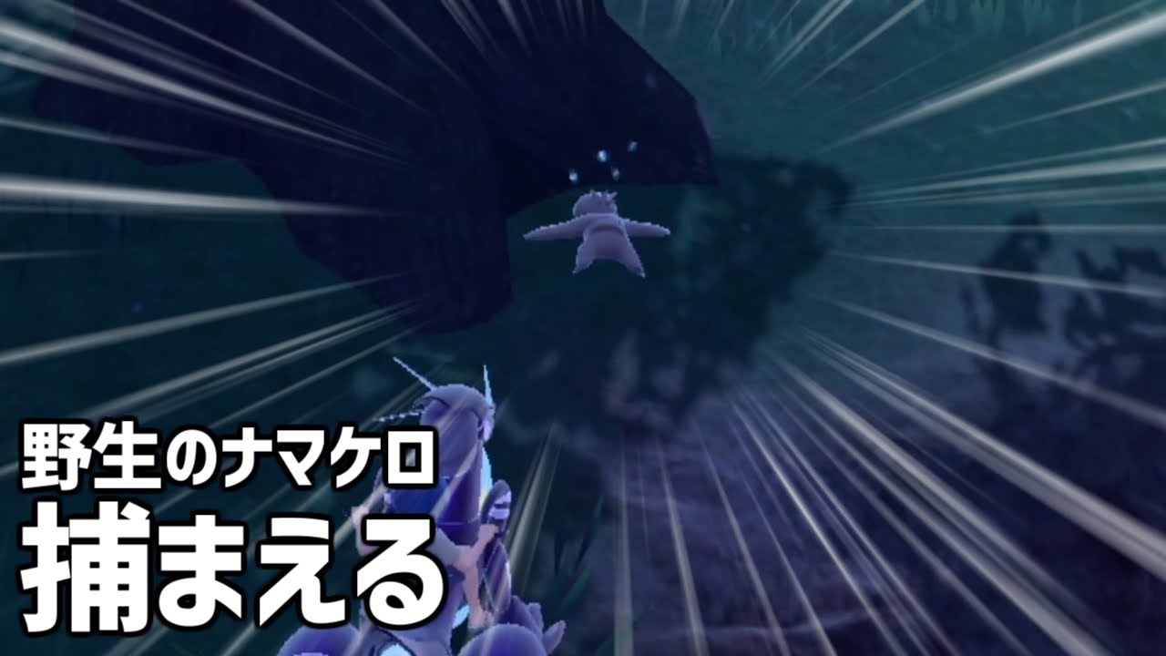 ナマケロの捕まえる方法【ポケモンバイオレット】