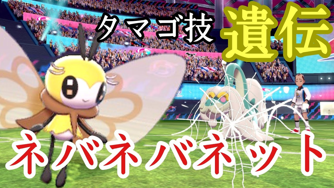 【タマゴ技】ネバネバネットをアブリボンに覚えさせる方法！！【ポケモン剣盾】