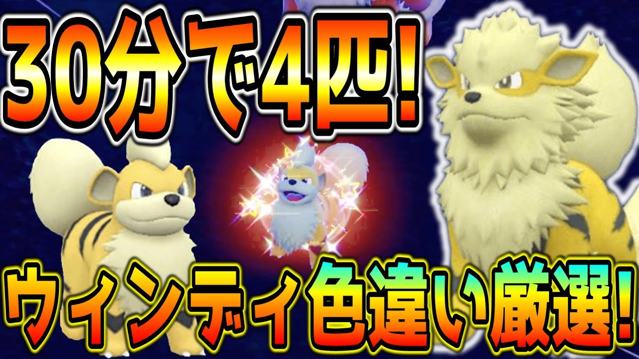 効率良いガーディ・ウィンディ色違い厳選方法！カメラ放置！【ポケモンSV】