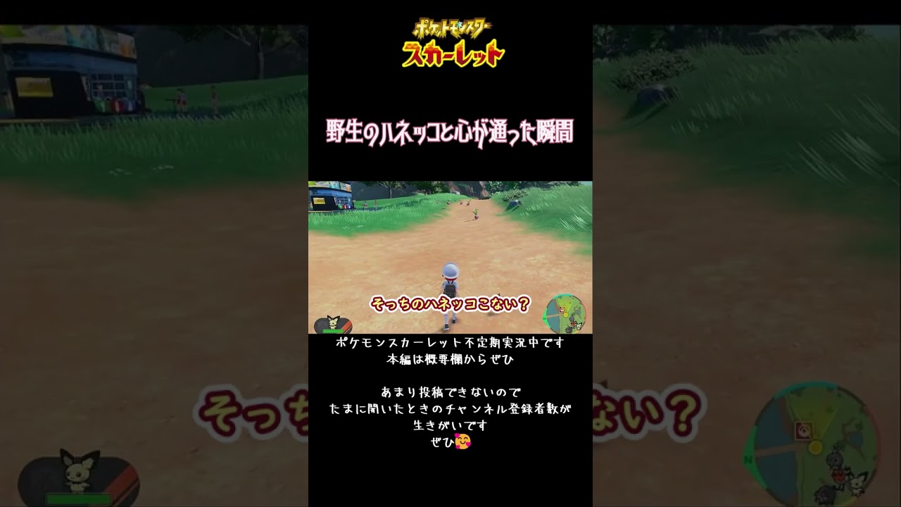 野生のハネッコと心が通った瞬間【ポケモン実況切り抜き】 #ポケモン #ポケモンSV #shorts