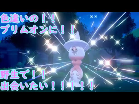 【ポケモン剣盾】色違いのブリムオンに野生で出会いたい
