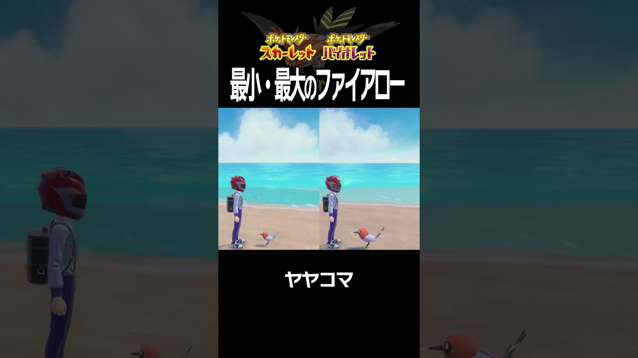 【大きさ比較】ファイアロー編【ポケモンSV】#Shorts