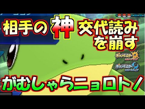 がむしゃらで高耐久をエサにする神ニョロトノ【ポケモンUSUM】