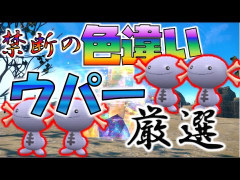 禁断の色違いウパー厳選【ポケモンSV】