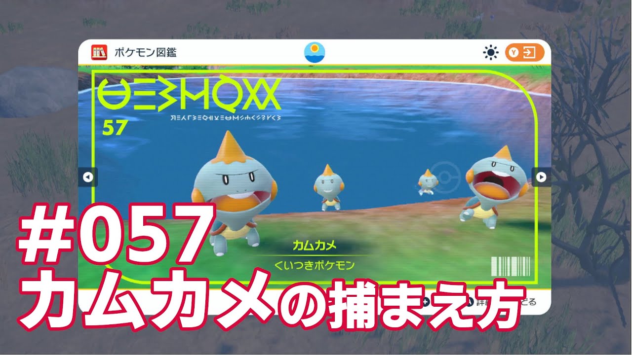 カムカメを探している方に見てほしい動画