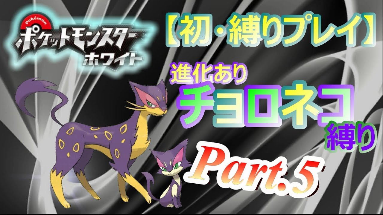 #5【初・縛りプレイ】進化あり、チョロネコ一匹で殿堂入りを目指す【ポケットモンスターホワイト.pokemon.BW】実況プレイ