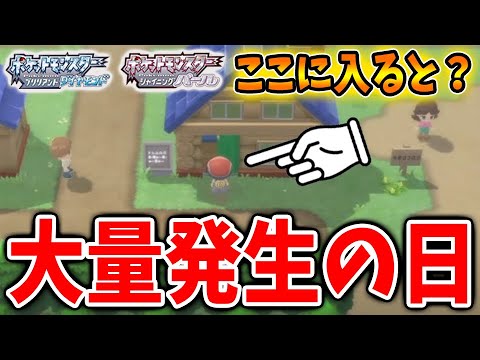 【ポケモン ダイパリメイク】ポケモンが大量発生の日にこの家に入ると？【ブリリアントダイヤモンド・シャイニングパール／攻略/BDSP/個体値/孵化/フワンテ】
