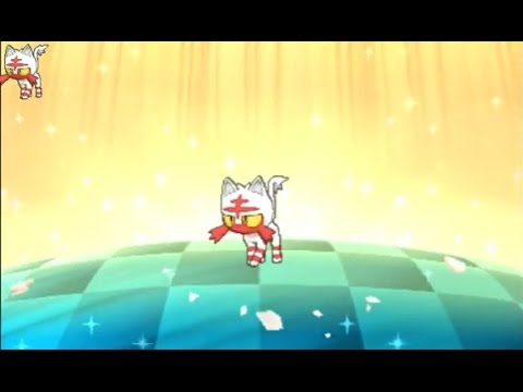 3DS【ポケモン サン ムーン】 色違い ニャビー shiny Litten 色違 火斑喵