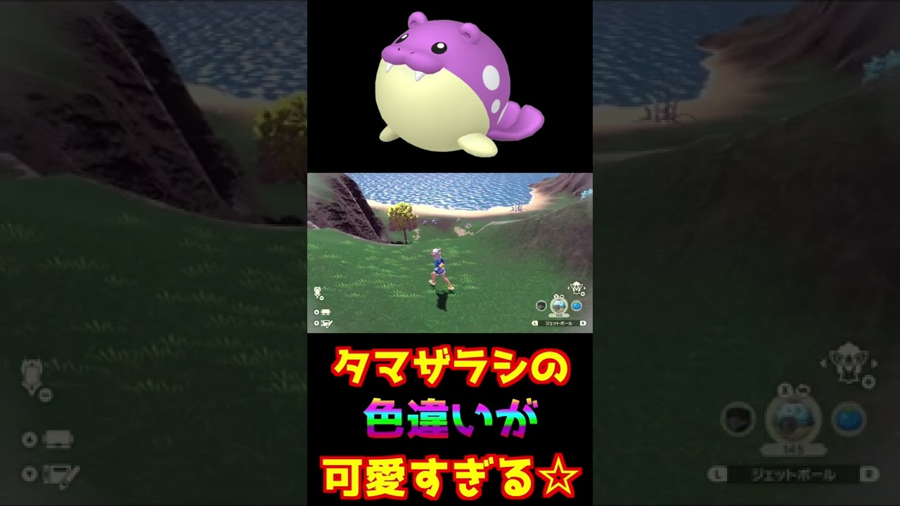 アルセウスで色違いタマザラシ出現で興奮する漢！！【ポケモン】【アルセウス】