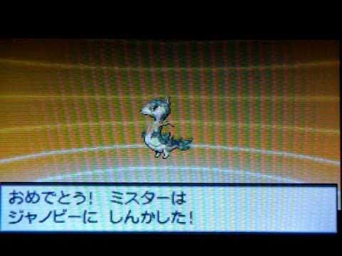 ポケットモンスター ホワイト 、ツタージャ変更されます。