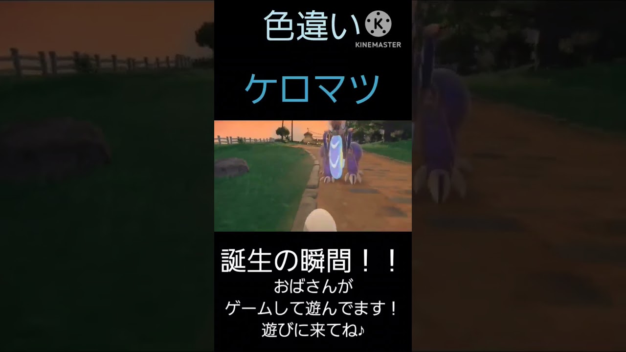 色違いケロマツ産まれたー❤️（実は2匹目w） #shorts #ポケモン #色違い #ケロマツ #配信者