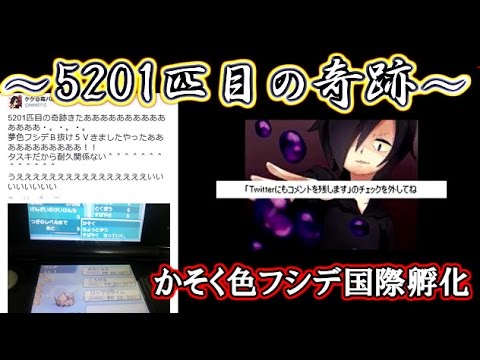 【ポケモンORAS】～5201匹目の奇跡～ 【かそく色フシデ国際孵化】