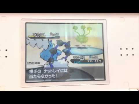 ヌマクローの強さ！