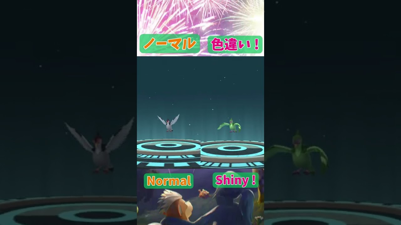 マメパト色違い(Pidove Shiny) → ハトーボー色違い (Tranquill Shiny) → ケンホロウ色違い (Unfezant Shiny)【Pokémon GO】 #Shorts