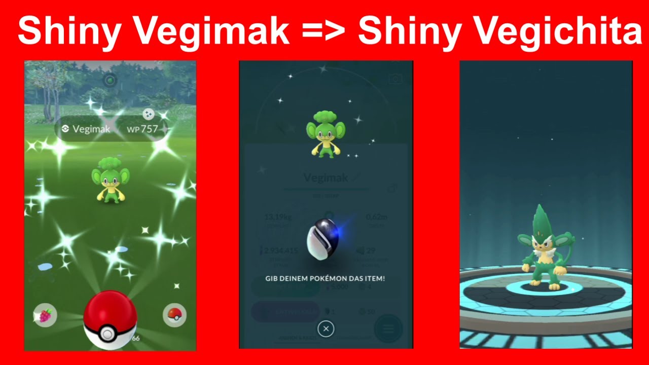 Shiny Vegimak zu shiny Vegichita entwickelt - Pokemon GO Deutsch 365