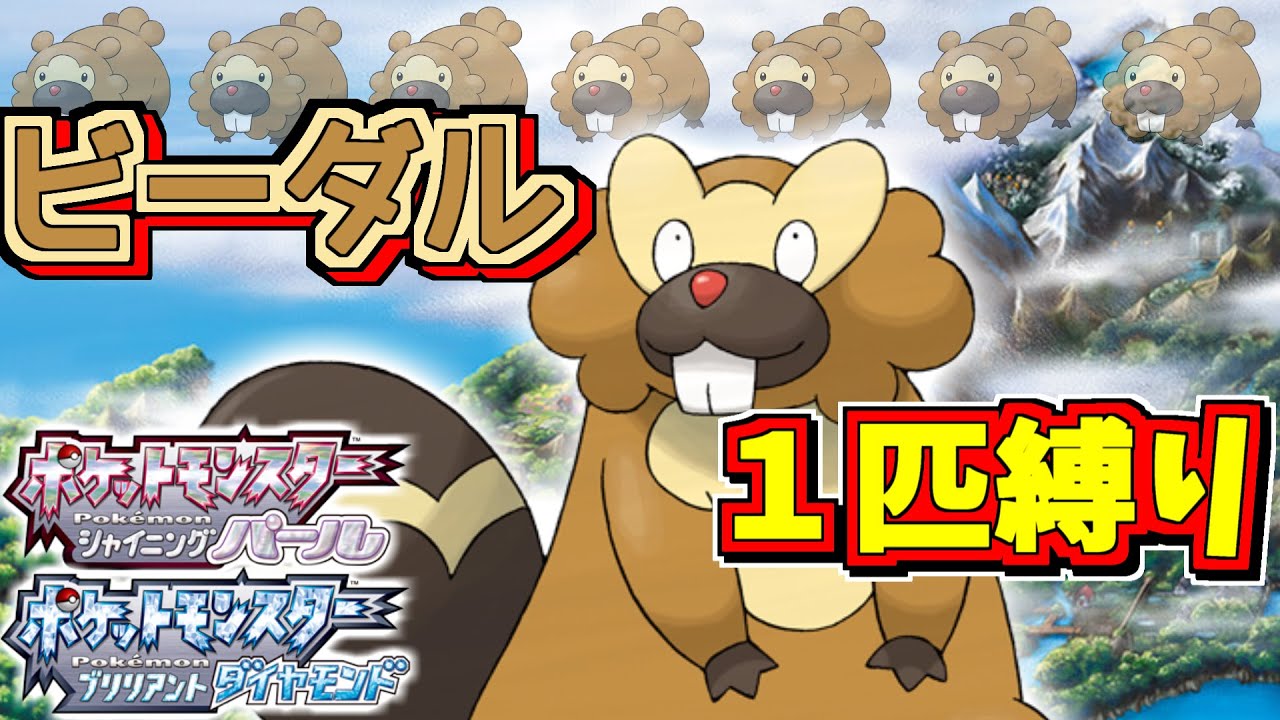 【ポケモンBDSP】ビーダル1匹でストーリークリアしたい!!!【ダイパリメイク】