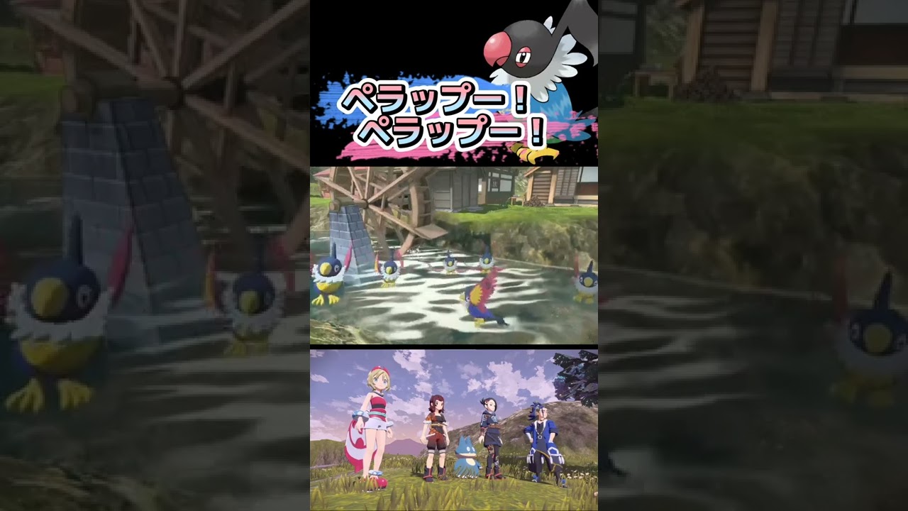 ペラップの集会【ポケモンレジェンズアルセウス】#shorts