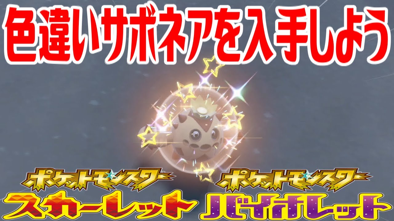 【ポケモンSV】色違いサボネアを入手しよう【ポケットモンスター スカーレット・バイオレット】Pocket Monsters
