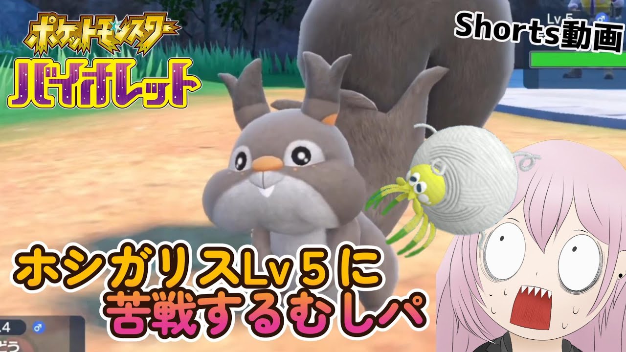 【ポケモンSV】ホシガリスLv５に苦戦するむしパ【Vtuber/マカネP】