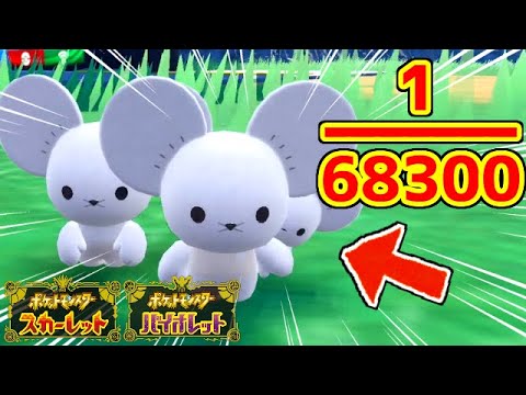【ポケモンSV】3匹家族イッカネズミとかいう激レアポケモンの色違いが欲しいんじゃ！！！