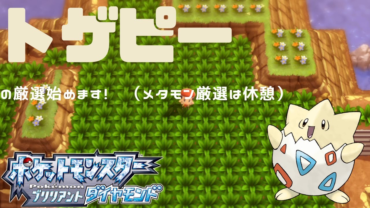 【ポケモンBDSP】トゲピー厳選始めました。