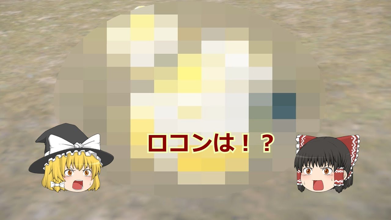 【ポケモンSV】ロコンはどこですか？