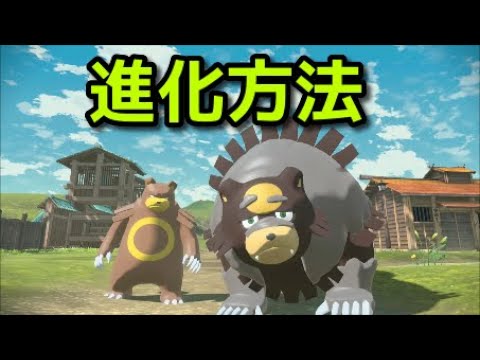 【ポケモン アルセウス】ガチグマ 入手方法 リングマ 進化方法【Pokémon LEGENDS アルセウス】