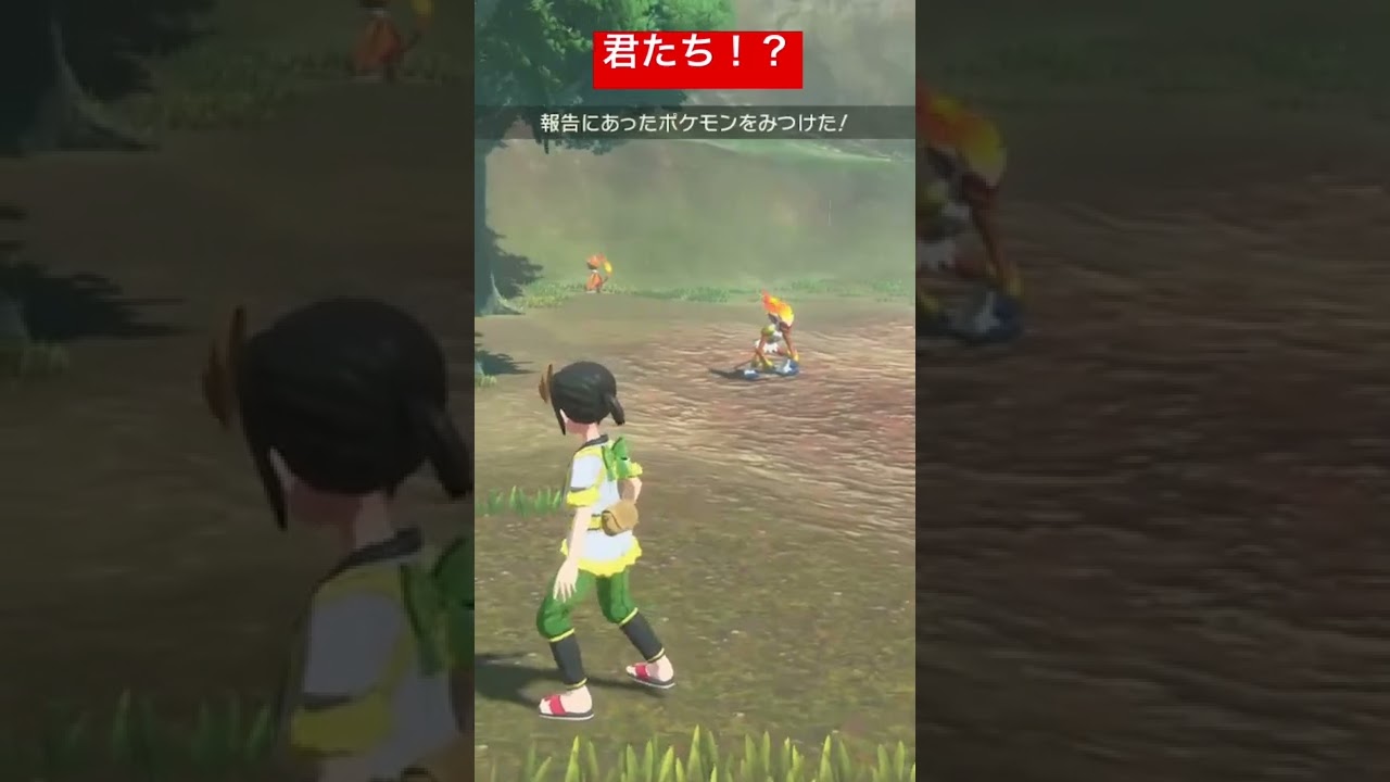 モウカザル、ゴウカザル大量発生！！