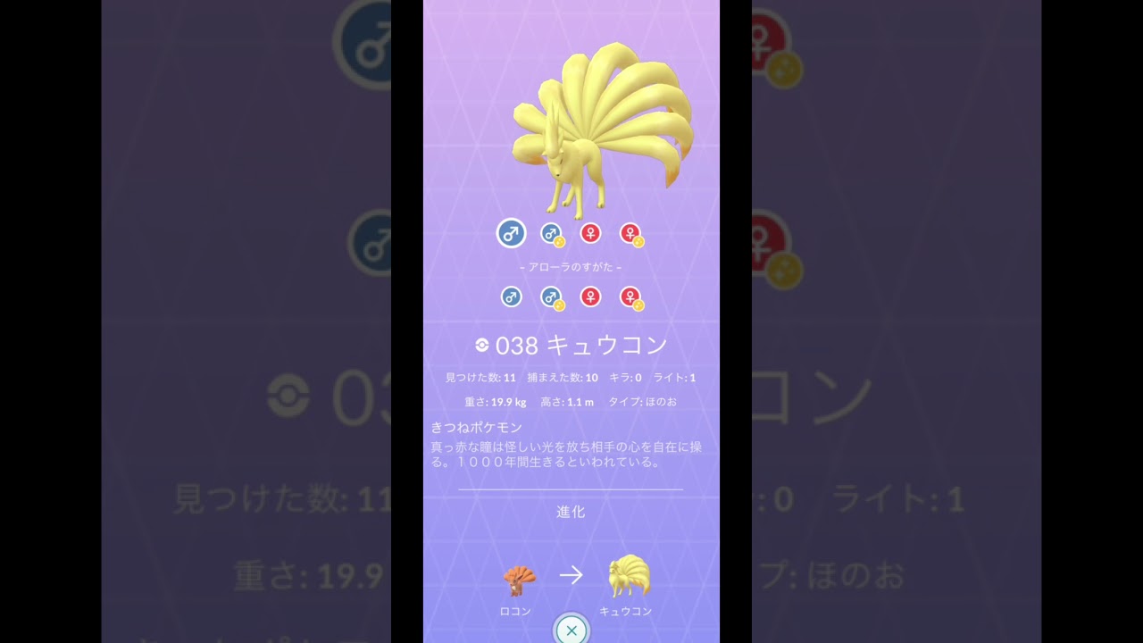 アローラロコン/ロコンからの〜【ダイパリメイク】色違いポケモン