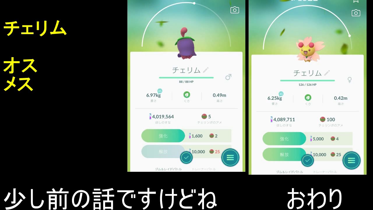 チェリムのオスとメス【ポケモンGO】