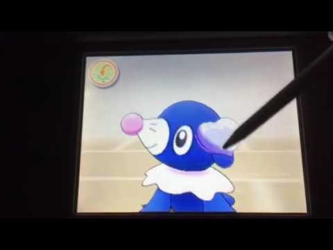 ポケモン サン&ムーン 色違いアシマリ