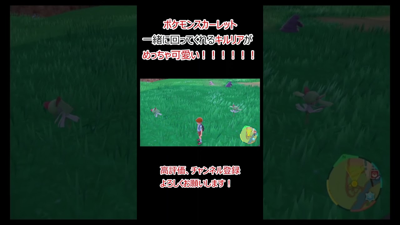 【ポケモンSV】一緒に回ってくれるキルリアがめっちゃ可愛い！ #ポケモン #ポケモンsv #shorts