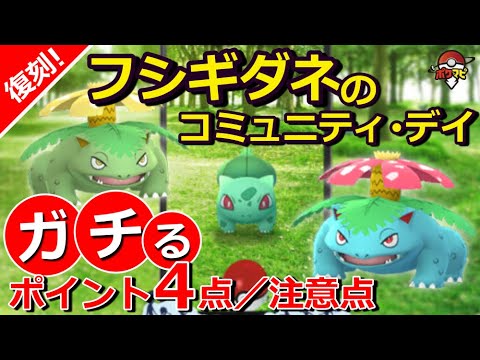 【復刻】フシギダネのコミュニティ・デイでガチるポイント4点と注意点