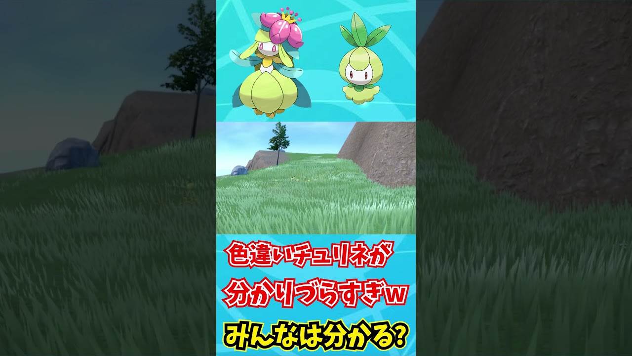 【ポケモンSV】色違いの中でもかなり見分けずらいチュリネを距離があっても見分ける男ｗｗｗｗｗｗ【ポケモンバイオレットスカーレット】