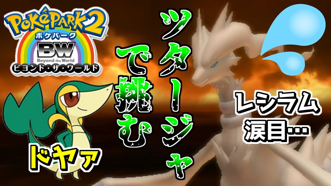 【下克上】レシラムがツタージャに勝てると思ってんの？ｗ【ポケパーク2～Beyond the World～】