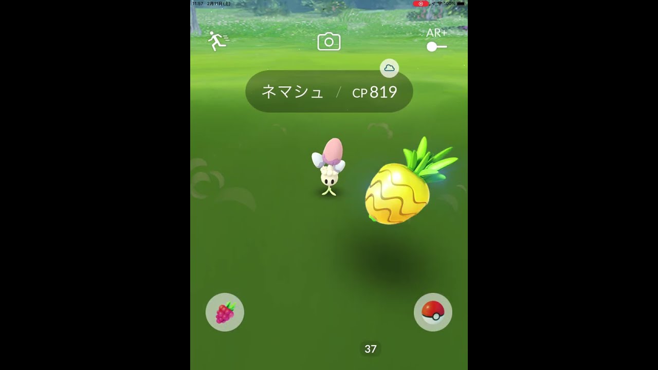 【ポケモンGO】初めて、野生のネマシュに遭遇！