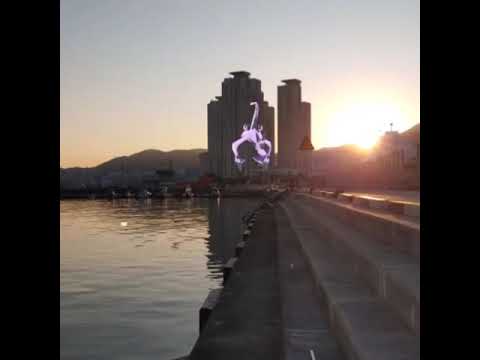 메가프테라 ( Mega Aerodactyl ) メガプテラ ( 化石翼龍 )