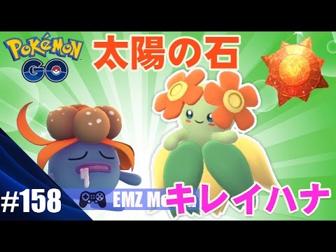 【ポケモンGO】🌼やっと「太陽の石」が取れたので初「キレイハナ」3月24日