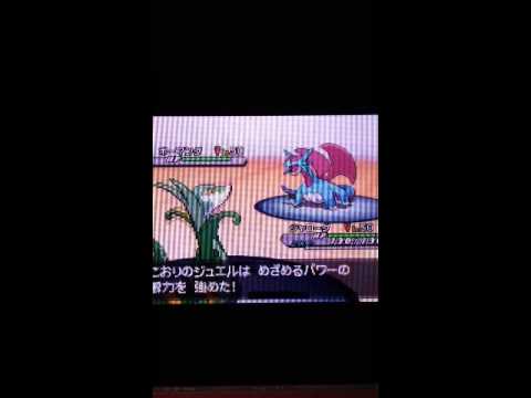 ポケモンBW2 ランダムマッチ 変態型〜特殊型ジャローダ〜