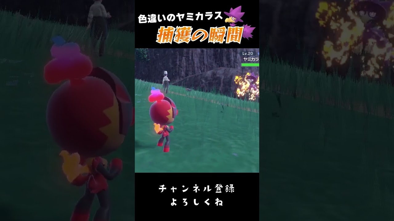 【バイオレット】色違いのヤミカラス捕獲の瞬間 #shorts