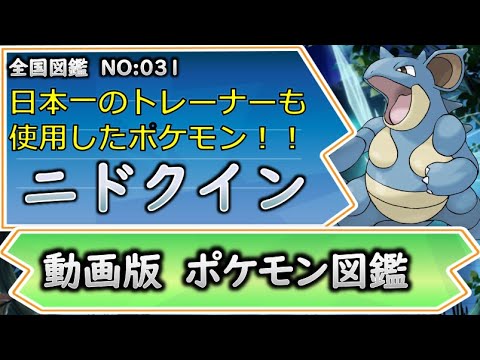 【ポケモン考察】 日本一のポケモントレーナーも使用した伝説を持つニドクイン【ゆっくり解説】 【ポケモン図鑑詳細版】