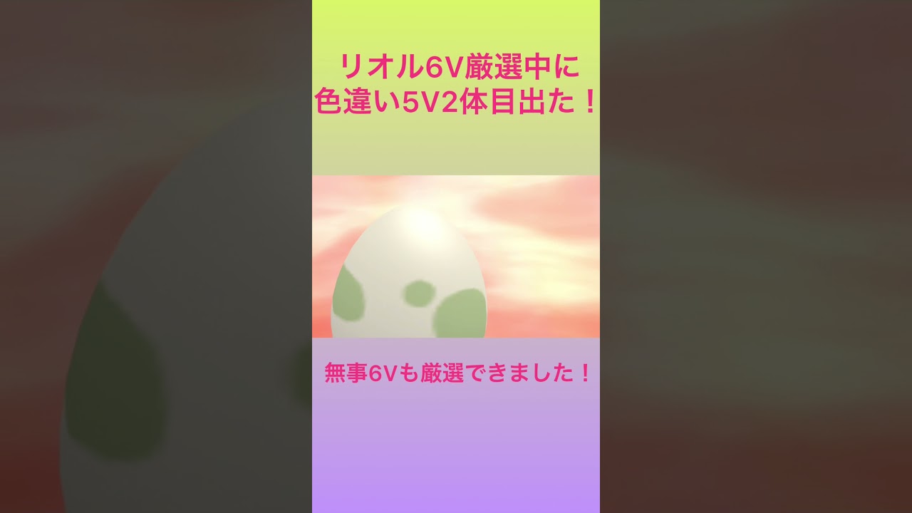 【ポケモンBDSP】リオル厳選中に色違いが2匹目、、、