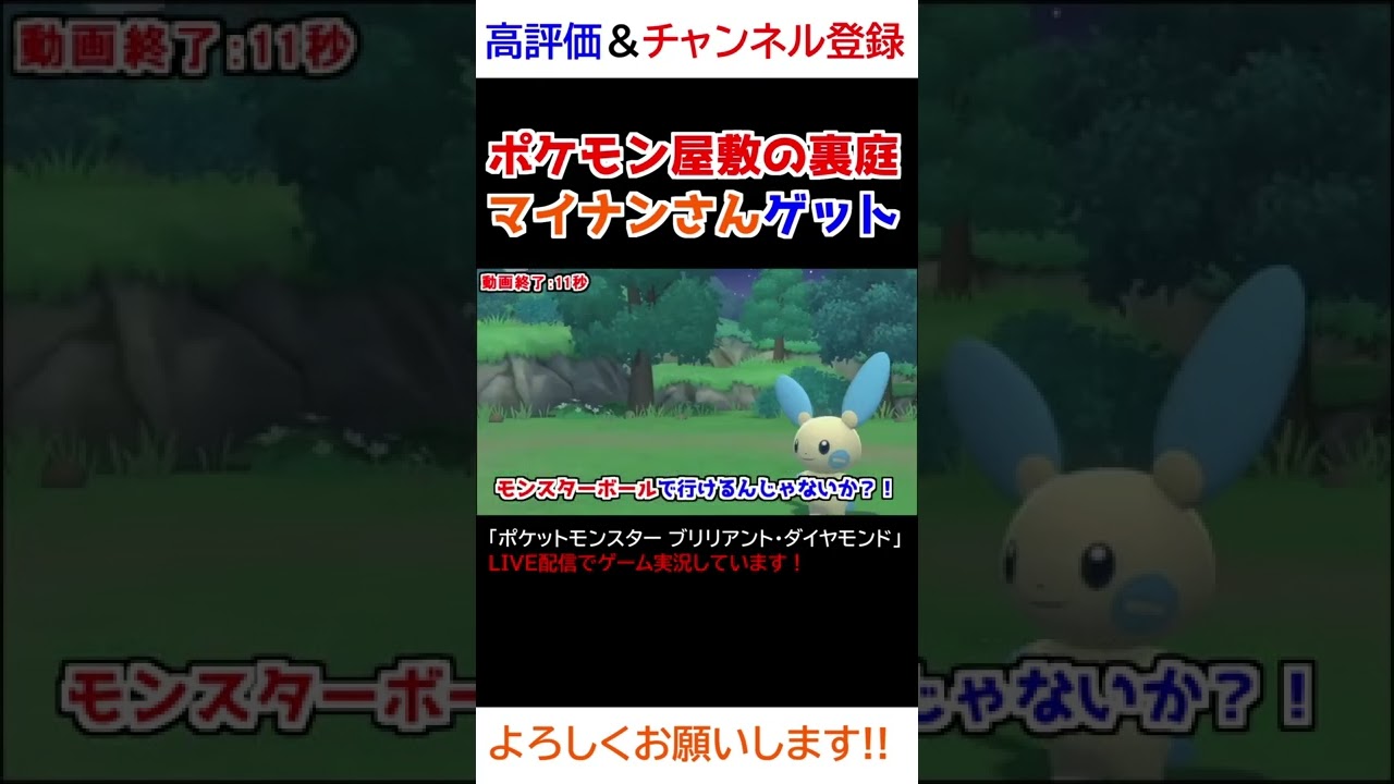 ポケモン屋敷の裏庭でマイナンさんゲットｗｗｗ【ダイパリメイク】
